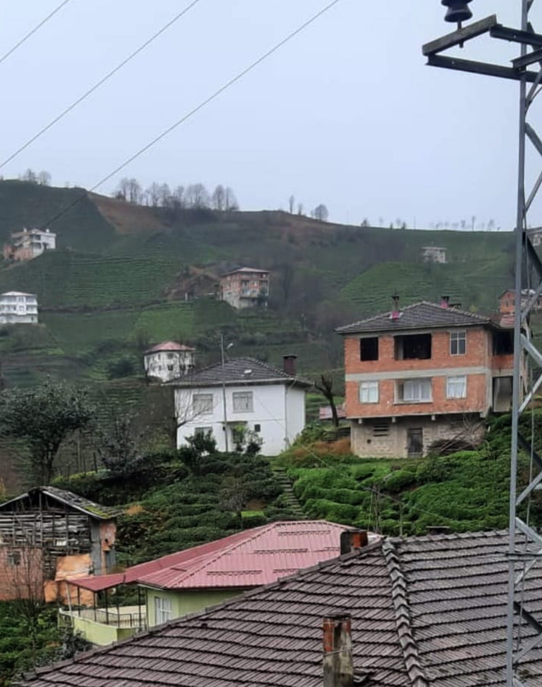 Apancene